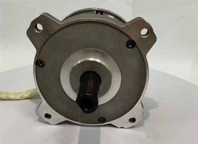 36V Brushless DC Motor