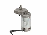 Motor Gear Dc Berus